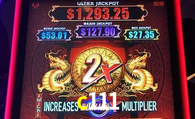 VIP Casino c111