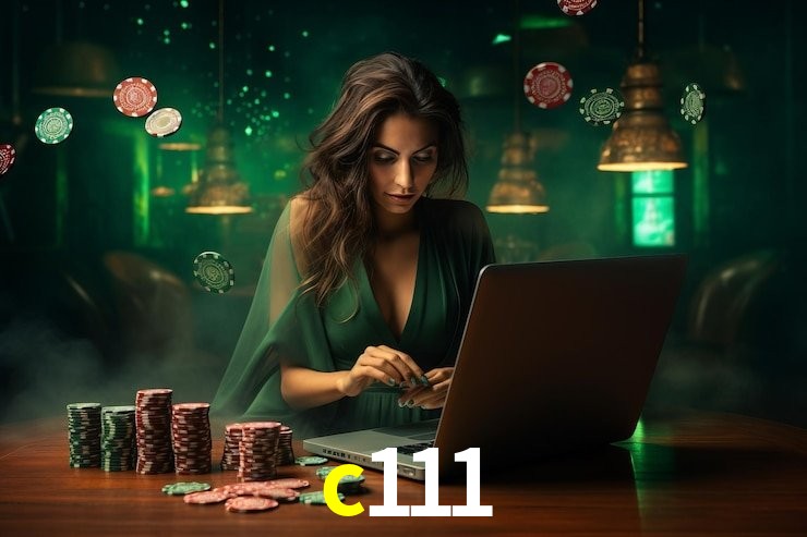 Premium Interface c111